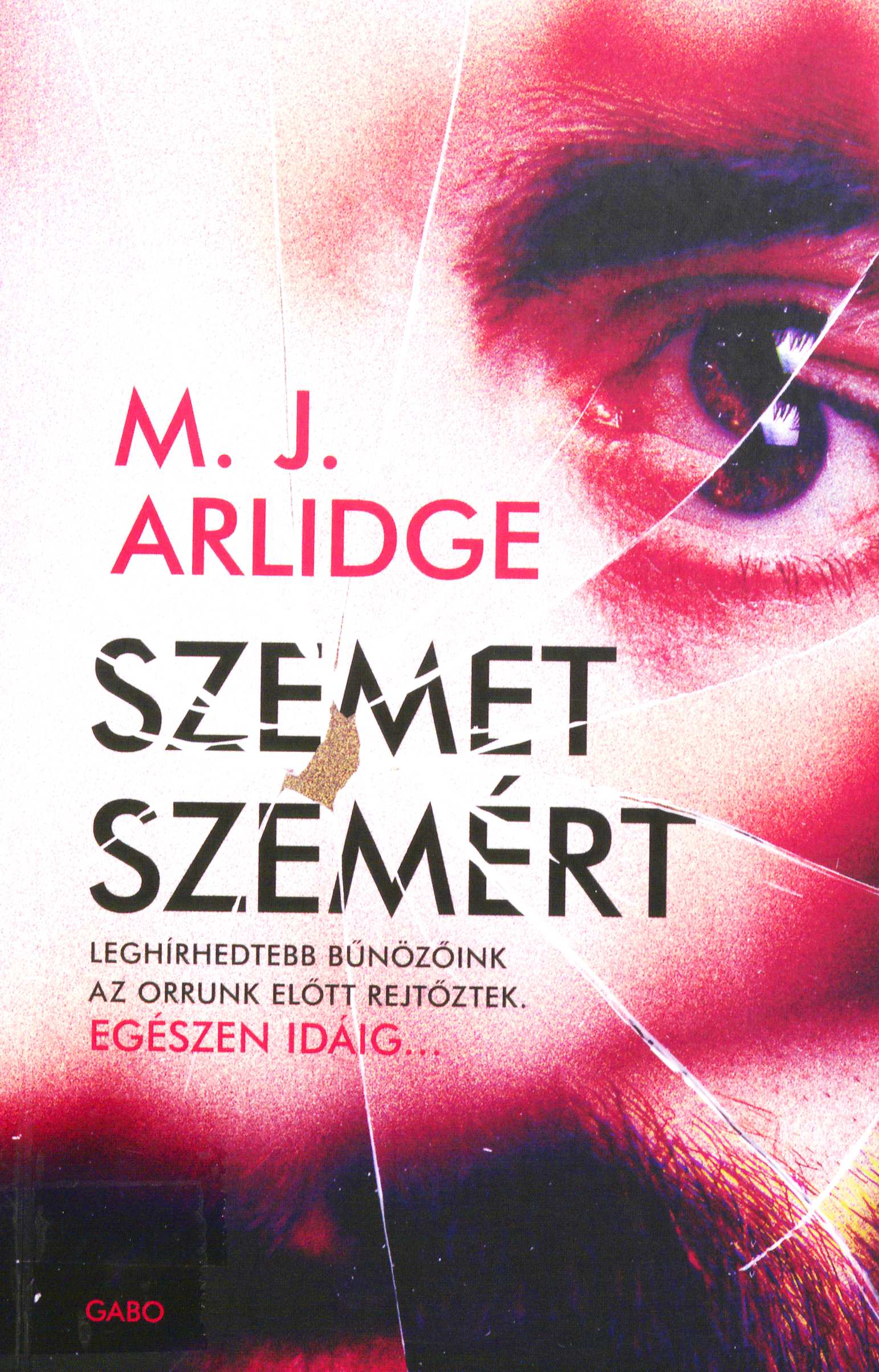 M. J. Arlidge: Szemet ​szemért