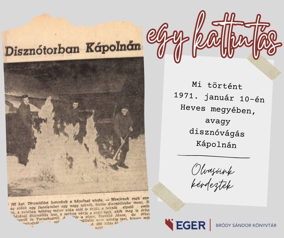 kapolna-disznovagas